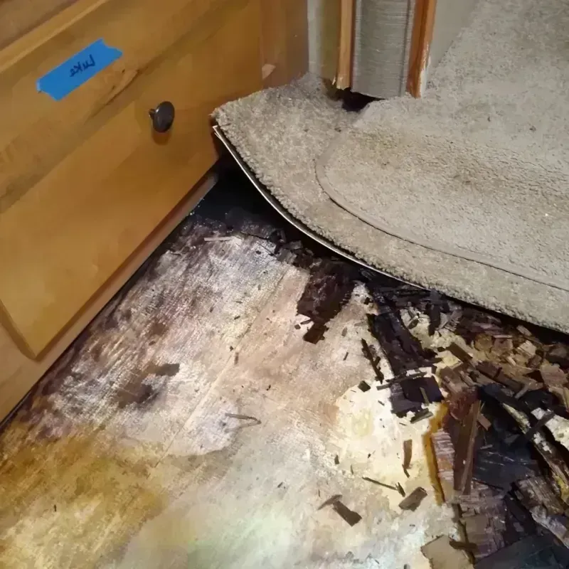 Wood Floor Water Damage in Stanley, VA